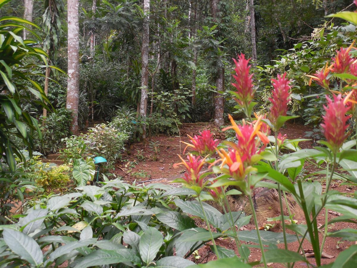 Le Leopard D 'argent 4* Kandy